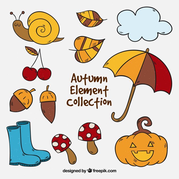 Autumn elements collection