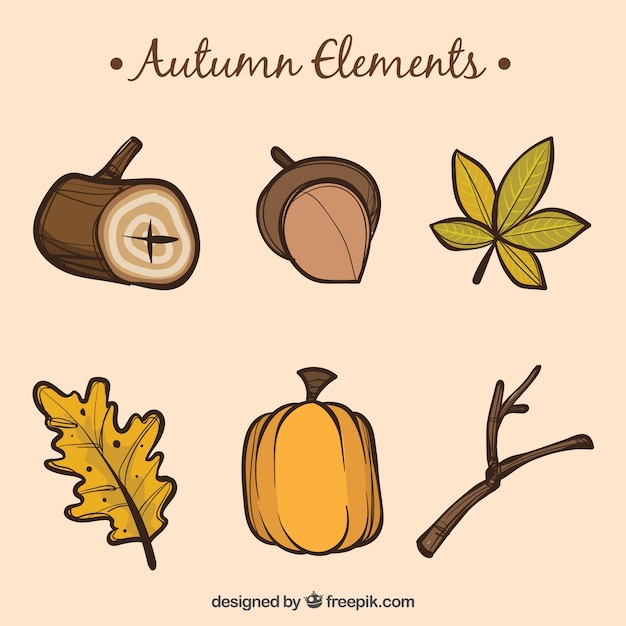 Vettore gratuito collezione di elementi d'autunno
