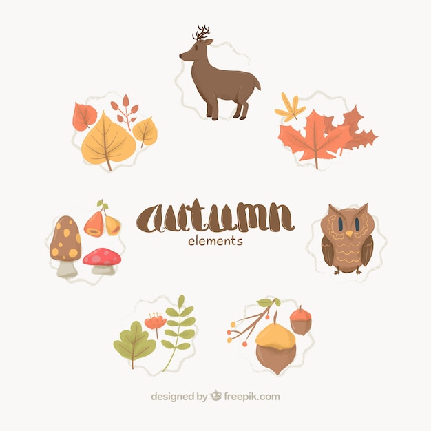 Free vector autumn elements collection