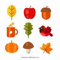 Free vector autumn elements collection