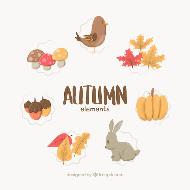 Autumn elements design