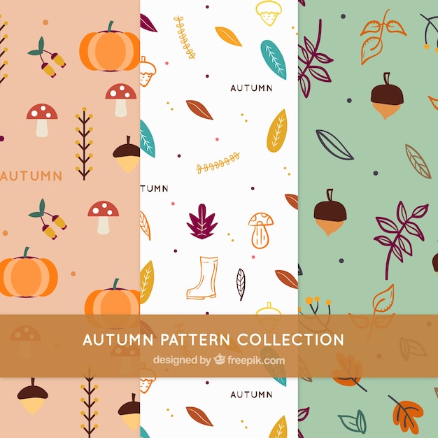 Autumn elements pattern