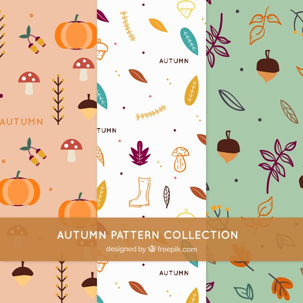 Autumn elements pattern