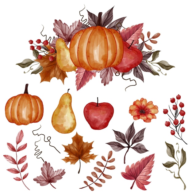 秋の秋の葉、カボチャ、梨、リンゴの孤立したクリップアート