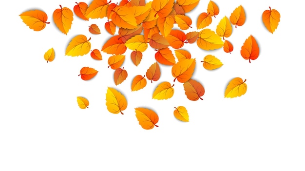 Autumn falling leaves background Autumnal round yellow leaf fall down foliage and golden leaf Vector