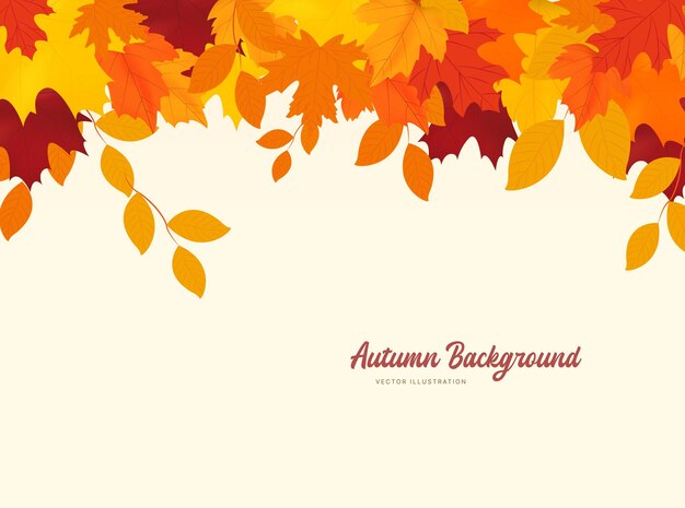 Autumn falling leaves isolated on white background autumn background with golden maple and oak leaves