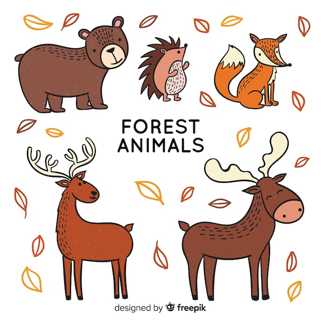 Free vector autumn forest animal collection