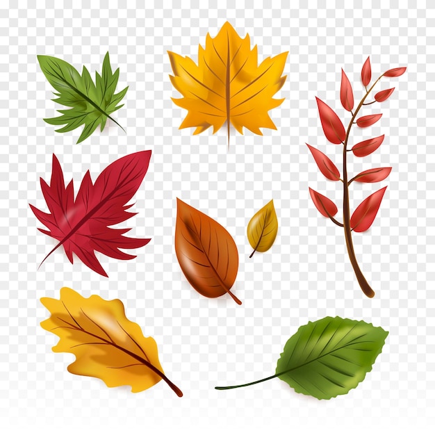 Dried Leaves Images – Browse 6,577 Stock Photos, Vectors, and