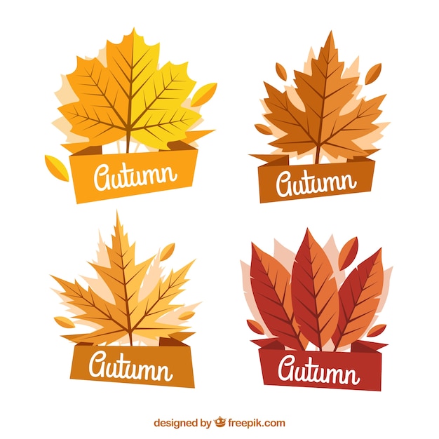 Free vector autumn label collection