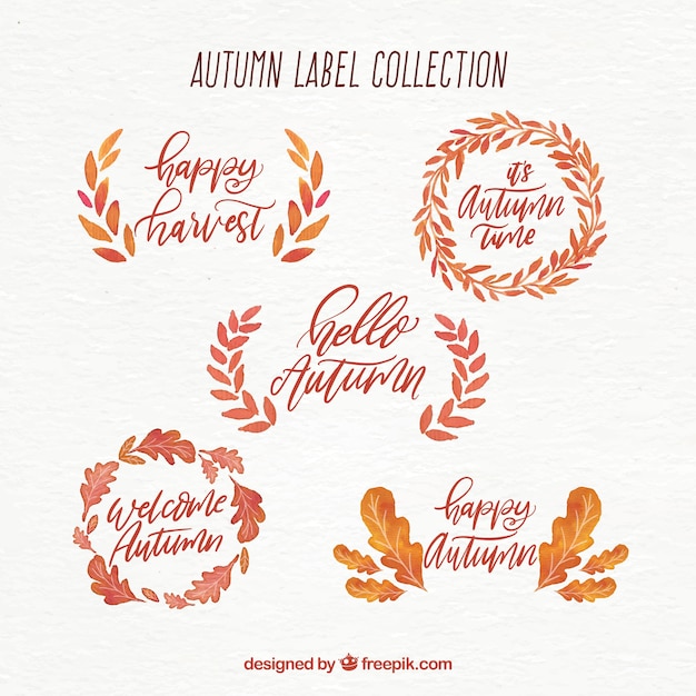 Autumn labels collection with leaves