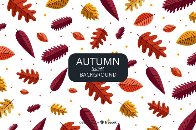 Autumn leaves background flat design