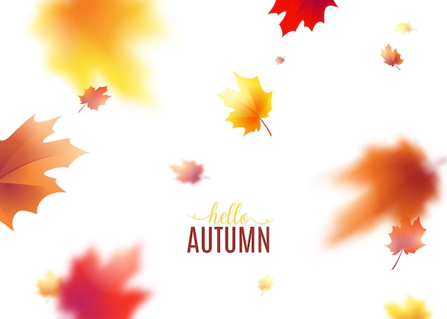 autumn leaves background with blur effect.