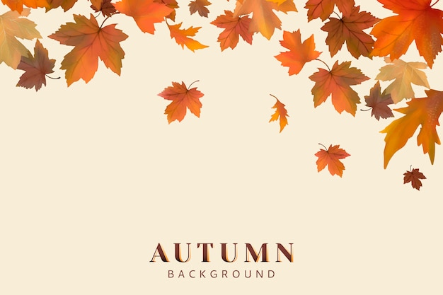 Autumn leaves background