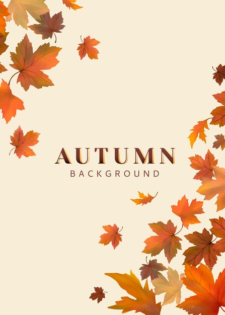 Autumn leaves background