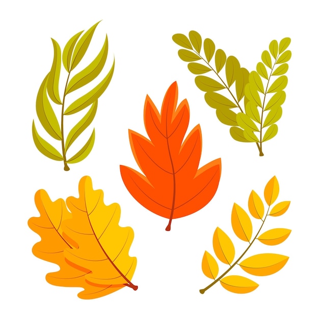 Vettore gratuito collezione di foglie d'autunno