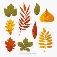 Free vector autumn leaves collection flat design