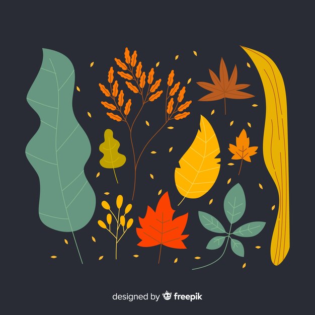 Autumn leaves collection flat design