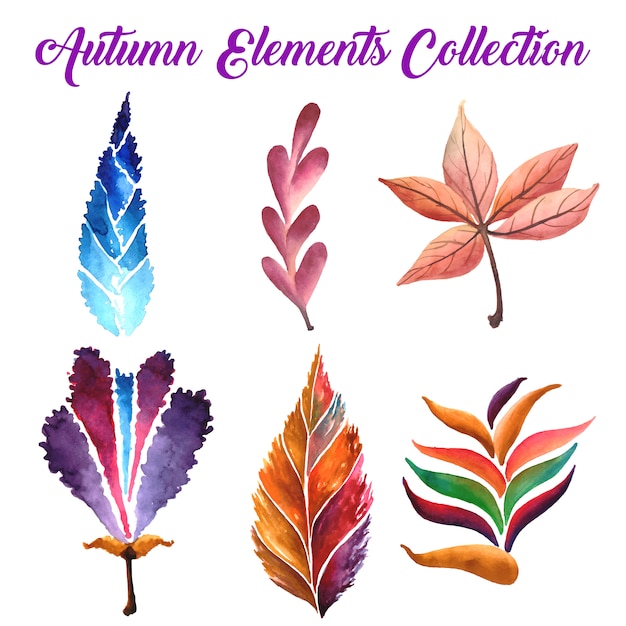 Free vector autumn leaves collection