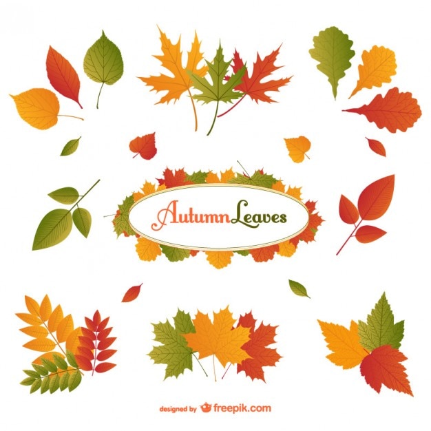 Vettore gratuito autumn leaves vector pack