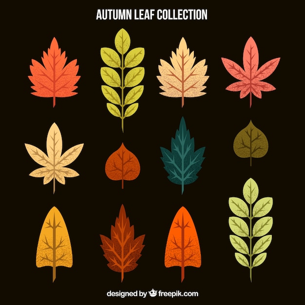 Vettore gratuito autumn leaves vector pack