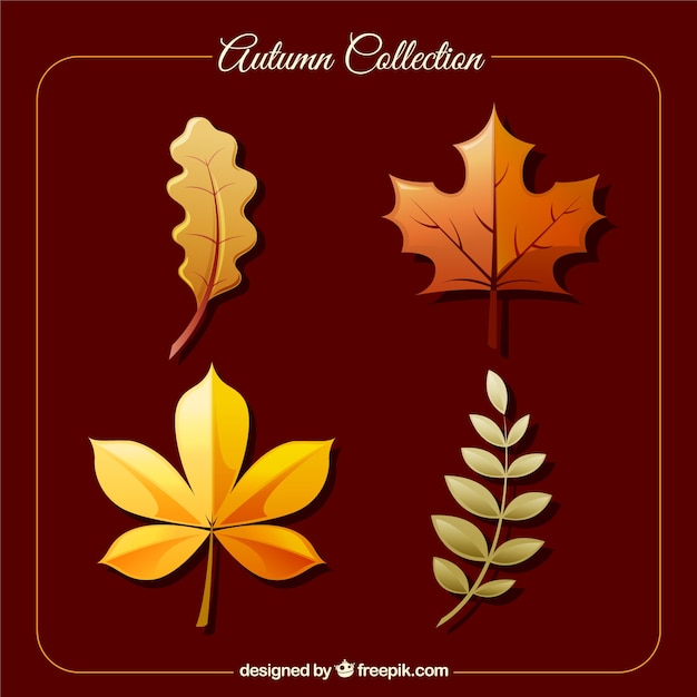 Free vector autumn leaves collection