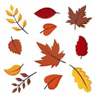 Free vector autumn leaves collection