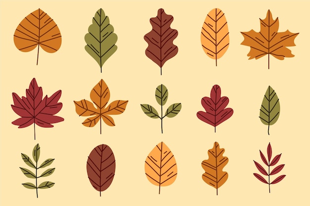 Autumn leaves collection
