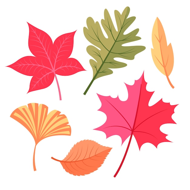 Autumn leaves collection