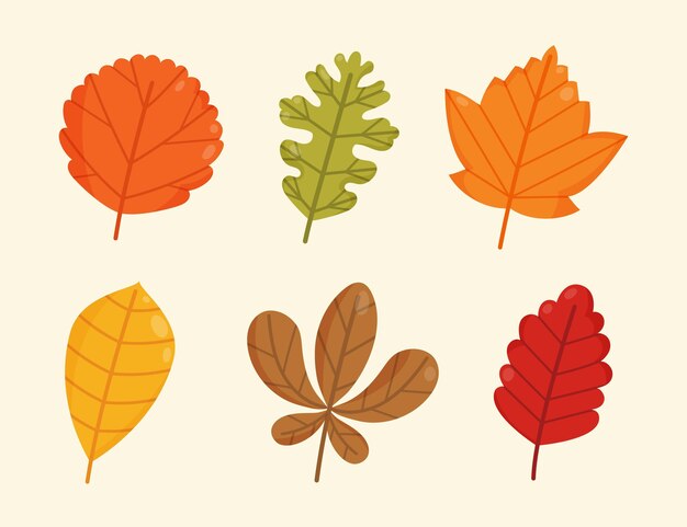 Free vector autumn leaves collection