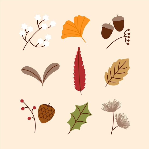 Free vector autumn leaves collection