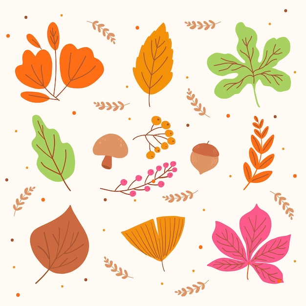 Free vector autumn leaves collection