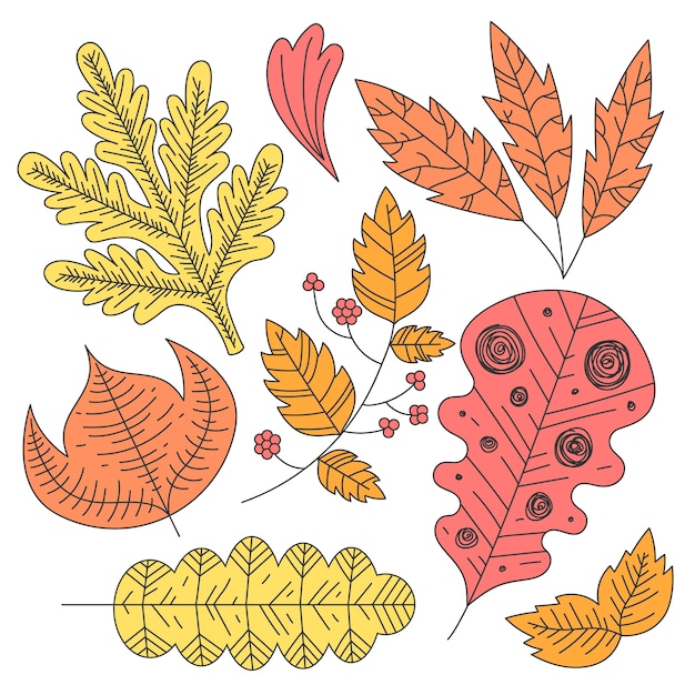 Free vector autumn leaves collection