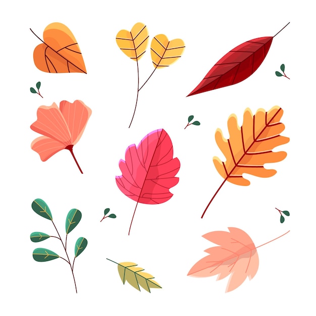 Autumn leaves collection