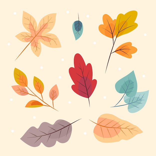 Free vector autumn leaves collection