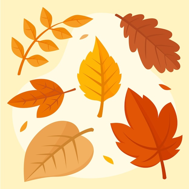 Бесплатное векторное изображение Коллекция осенних листьев