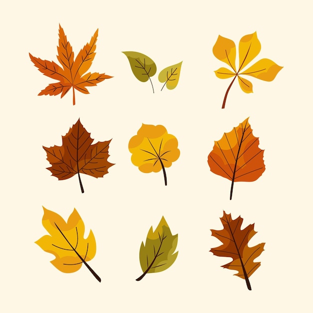 Free vector autumn leaves collection