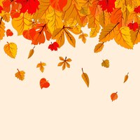 Autumn leaves fall isolated background golden autumn poster template