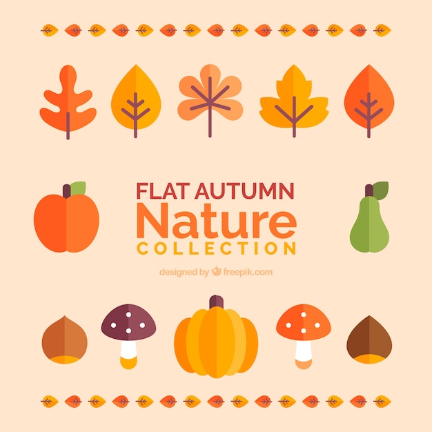 Free vector autumn leaves and fruits collection