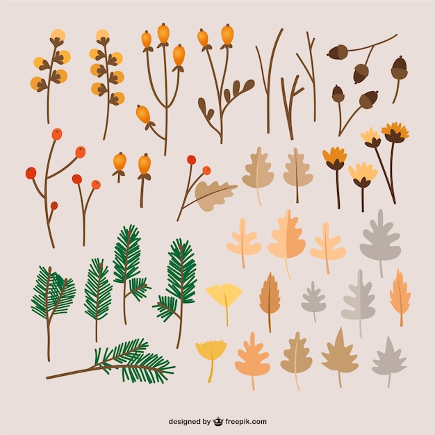 Free vector autumn leaves illustrations