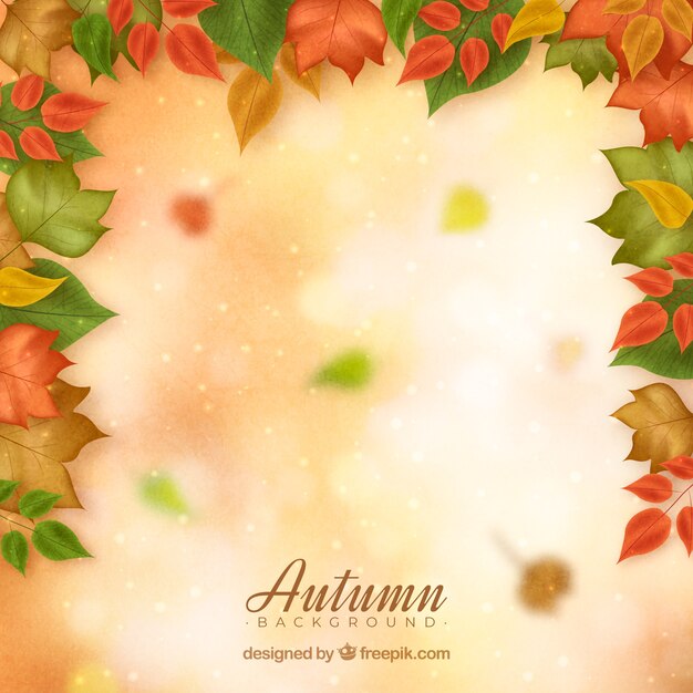 Autumn leaves scattered on bright surface