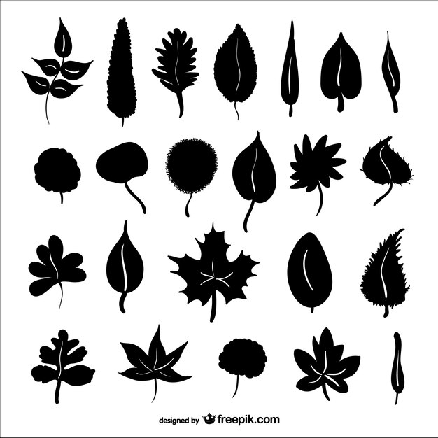 Autumn leaves silhouettes