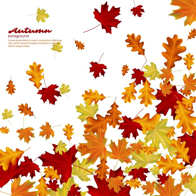 Осенние листья на белом фоне. Осенняя векторная иллюстрация.