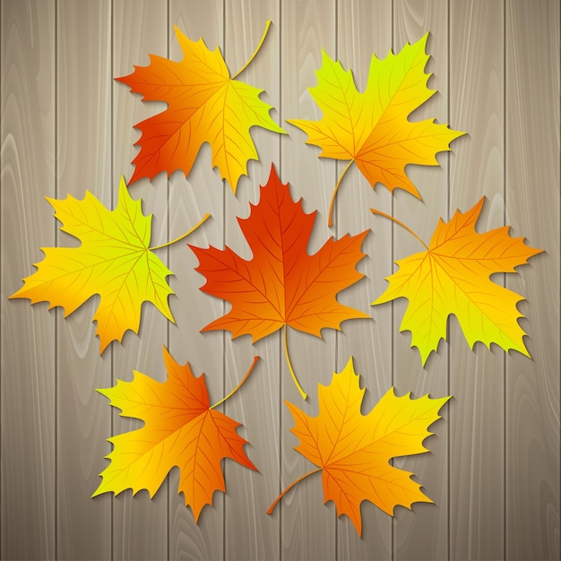 Free vector autumn leaves on wood texture