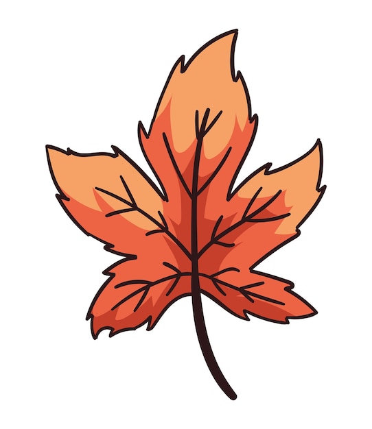 Autumn nature maple leaf isolated illustration