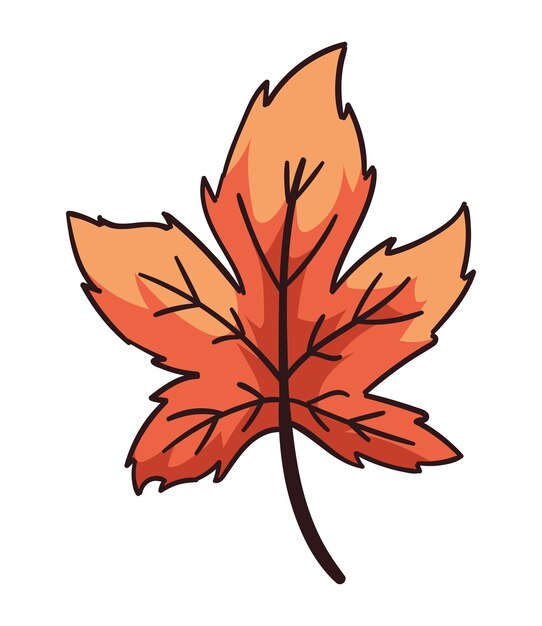 autumn nature maple leaf isolated illustration