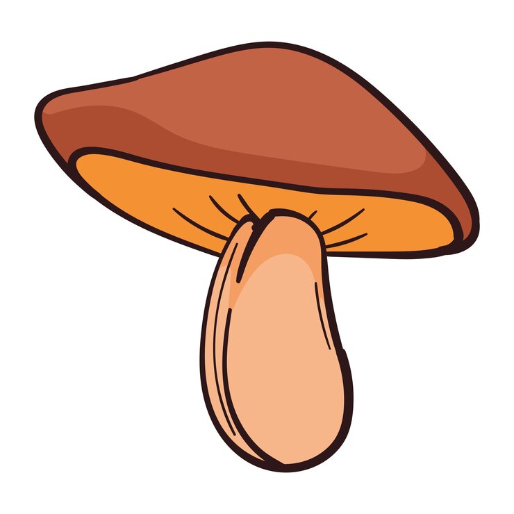 Free Vector autumn nature mushroom isolated illustration