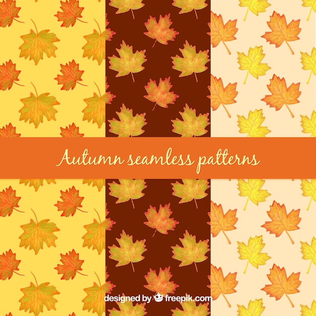 Autumn pattern background