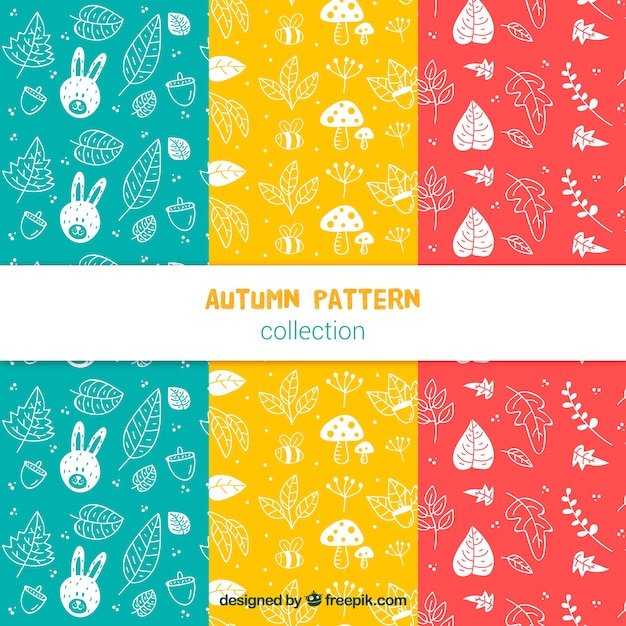 세 가지 색상의 가을 패턴 모음