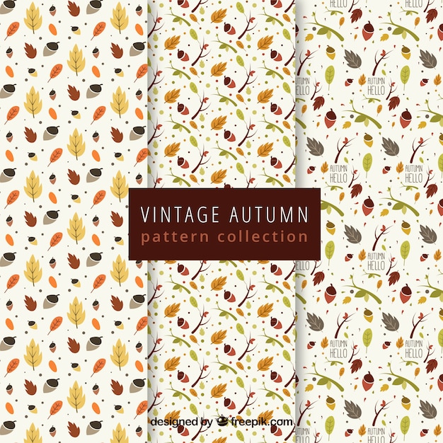 Free Vector autumn pattern collection with lovely style