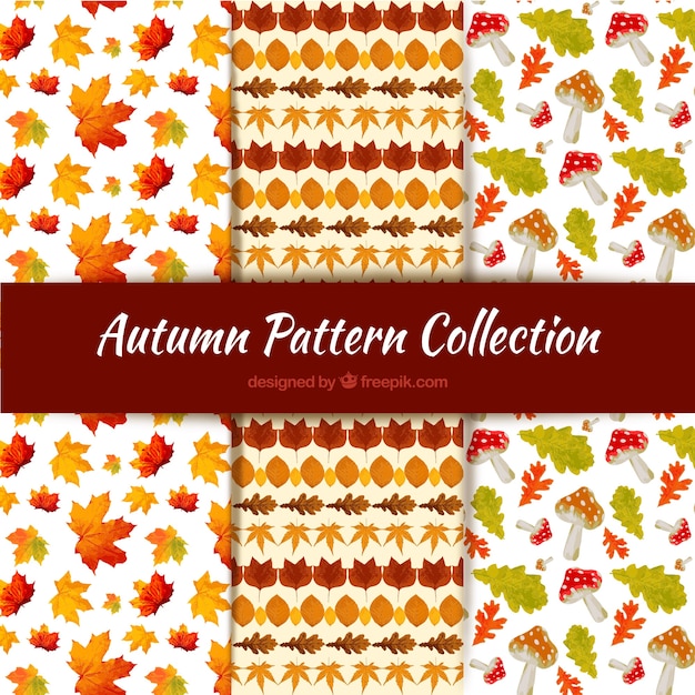 秋のパターンコレクション